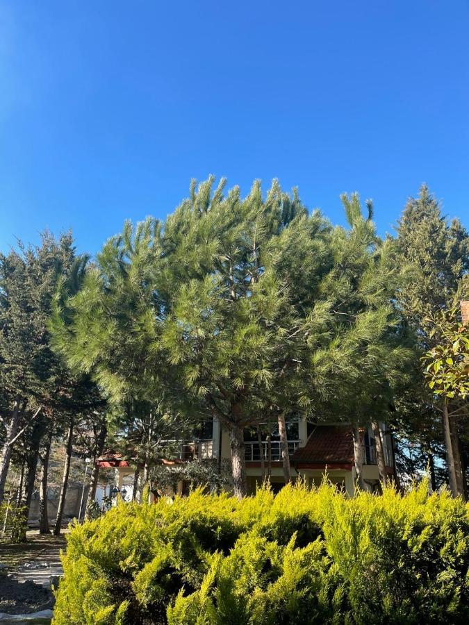 Hotel Garden Villa Ardo Golem  Exterior foto